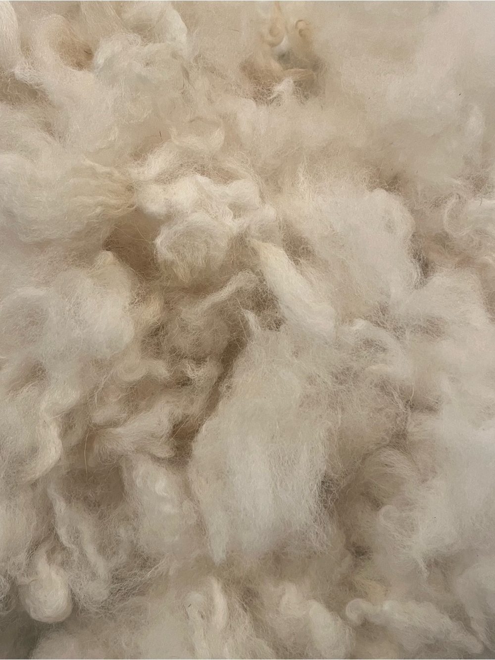 Washed White Huacaya Alpaca Fleece
